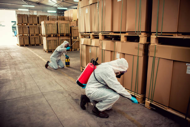 Best Affordable Pest Control Services  in Mosinee, WI