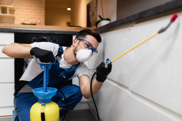 Best Emergency Pest Control  in Mosinee, WI