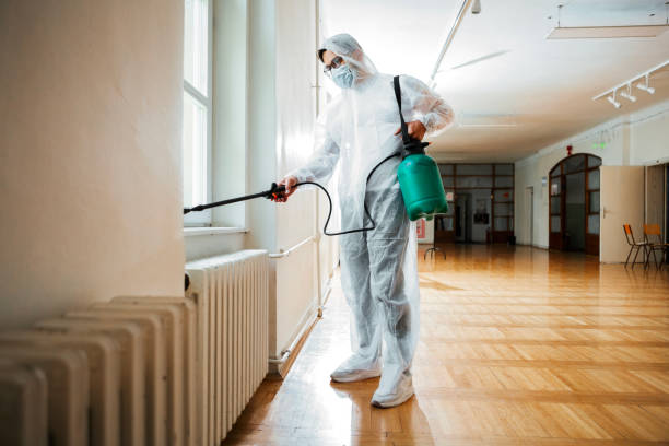 Best Mosquito Control Services  in Mosinee, WI